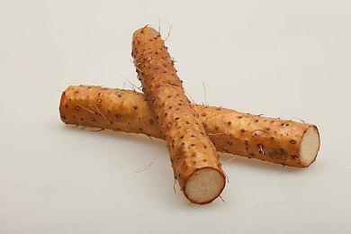 《守望先锋2》封测不会提供奥丽莎和末日铁拳新外观